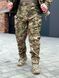 Костюм Call Dragon Softshell на флісі Куртка з капюшоном + Штани мультикам розмір L for00591frs-L фото 8